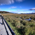 Grange-over-Sands promenade