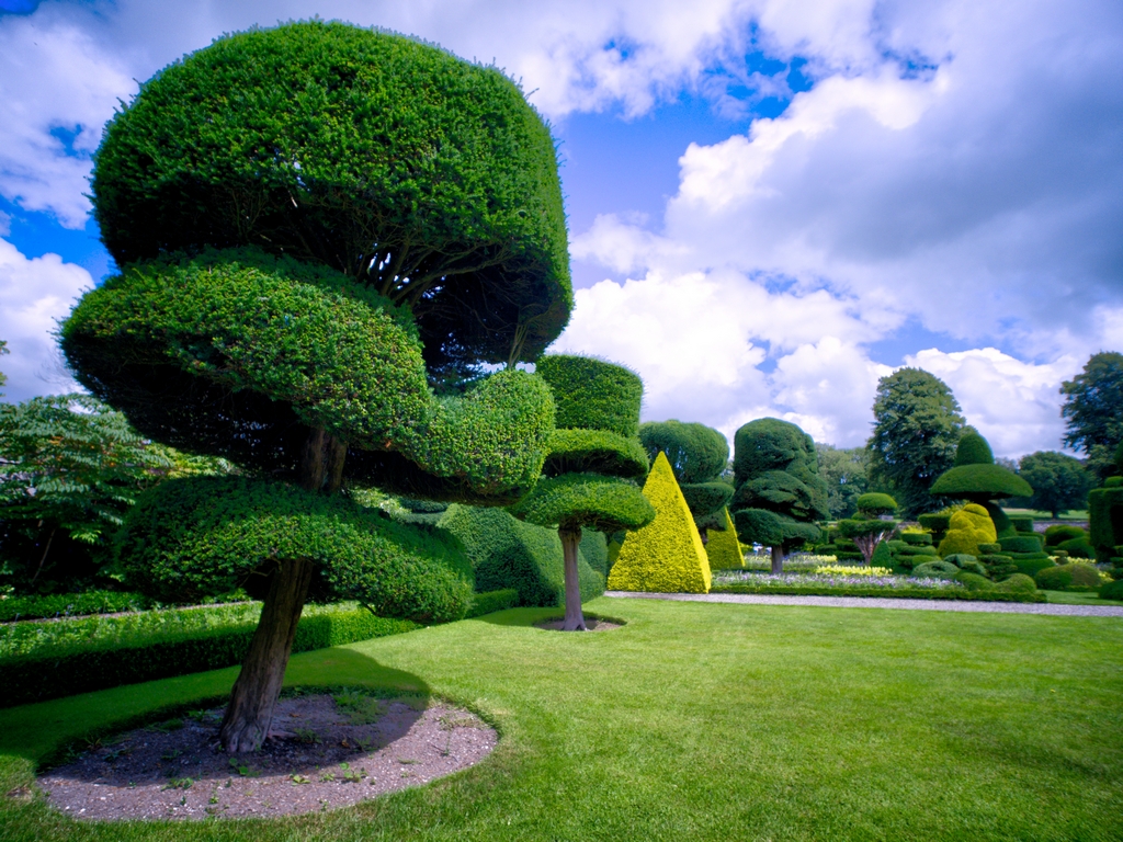 Levens Hall – Topiary Garden