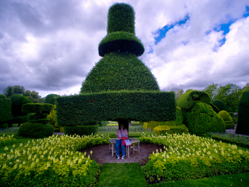 Levens Hall - Umbrella #2