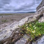 Morecambe Bay from Silverdale